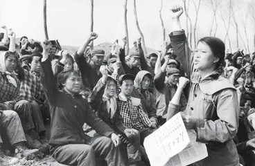 第五章：靠边站，19762