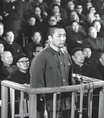 第五章：靠边站，19763