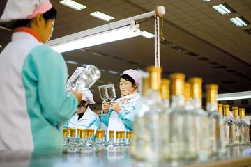 峻拔之凤香：西凤及其西北酒