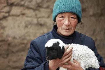 内蒙古雪灾：布日敦牧民饲草之困