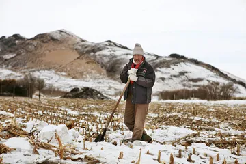 内蒙古雪灾：布日敦牧民饲草之困4
