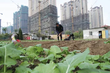 房子的盛宴