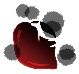 心上缺了一块