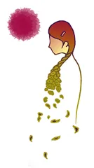 百花夫人