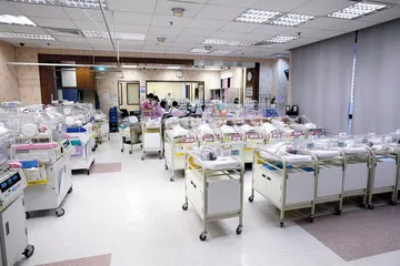 赴港生子：新富人群的生育账本1