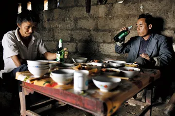 褚时健种橙记3
