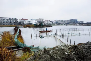 一个村庄的土地争端：法律与乡村 现实的脱节3