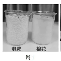 打破学科壁垒，探寻冷热与健康的奥秘