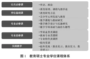 数学教育硕士专业学位研究生实践能力培养路径研究
