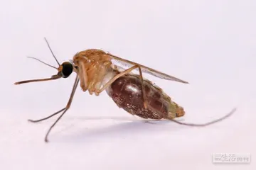 好消息·坏消息（619）2
