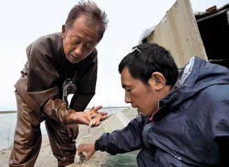 只收了一二成：渤海湾事件的乡村效应