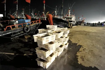 只收了一二成：渤海湾事件的乡村效应1
