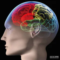 好消息·坏消息（623）2