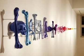 “一样”却不一样