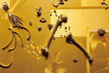 “一样”却不一样4
