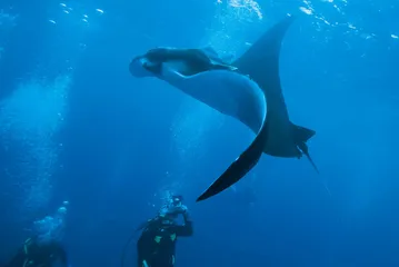 潜入海洋的深处1