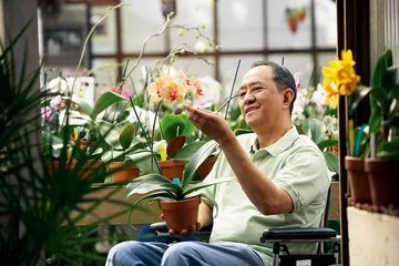 ​中国兰花：脆弱的天价