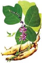 ​贫时粮与富时蔬7