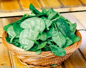 中国人怎样吃蔬菜13