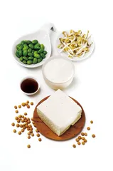 ​豆腐前传：从“仙丹”到平民饮食5