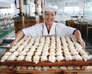 ​百种滋味豆腐干