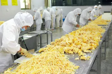 ​竹笋保鲜为什么那么难