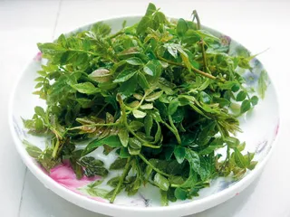 ​芽苗菜：早春时分的复古情怀