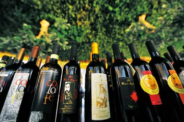 ​意大利酒为什么复杂？1