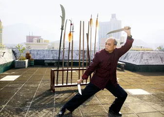 ​永春白鹤拳：苏瀛汉一个人的传奇1