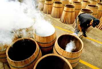 ​智利葡萄酒探访3
