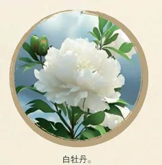 百花入药，不看颜值