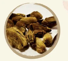 百花入药，不看颜值1
