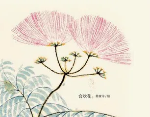 百花入药，不看颜值3