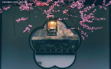 花影婆娑纹灵性