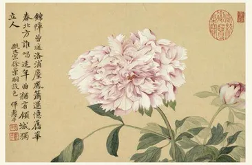 丹青次第与花开2