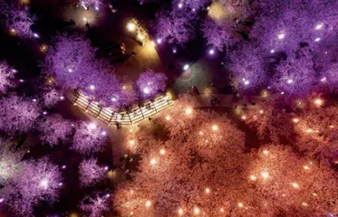 花事大接力,芳华满魔都2