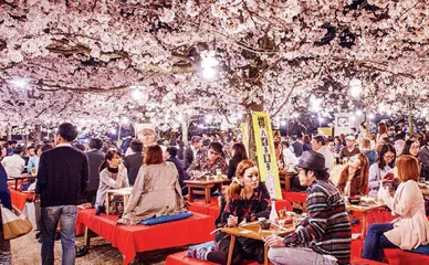 异国名花趣闻录