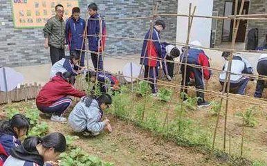 打造多元精优的中职劳育新范式