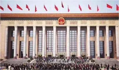 代表委员议国是