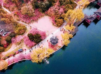 寻芳中华