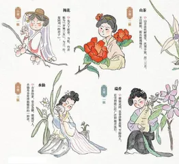 二十四番花信风，古今从容