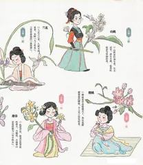 二十四番花信风，古今从容1