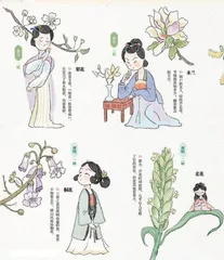 二十四番花信风，古今从容4