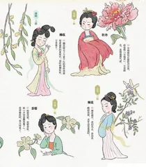 二十四番花信风，古今从容5