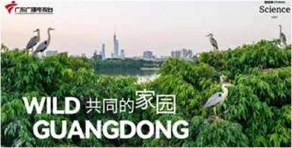 广东广播电视台与BBC Studios联合打造《共同的家园》