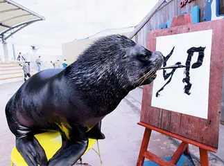 天下(614)4