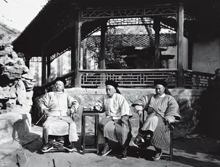 ​辛亥年间的中国政治格局10