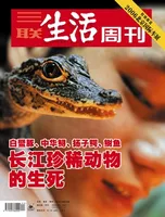 三联生活周刊