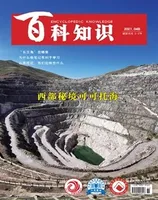 百科知识