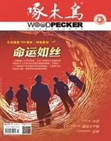 啄木鸟